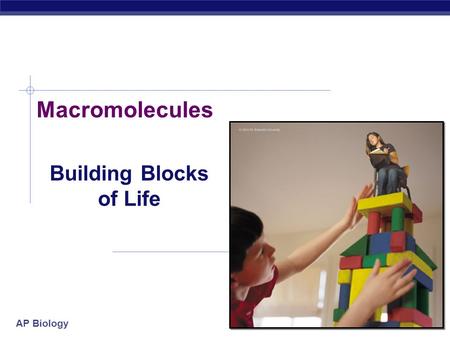 AP Biology 2007-2008 Macromolecules Building Blocks of Life.