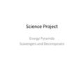 Energy Pyramids Scavengers and Decomposers