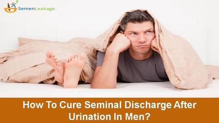 How To Cure Seminal Discharge? Lots of men worldwide are suffering from semen leakage after urination. If it is not cured in time, you will suffer from.