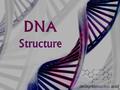 DNA DEOXY - RIBO - NUCLEIC ACID DNA Structure DNA consists of two molecules that are arranged into a ladder-like structure called a Double Helix. A molecule.