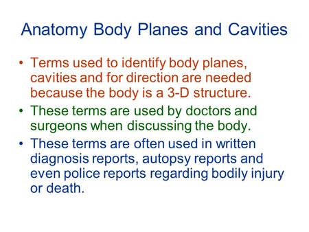 Anatomy Body Planes and Cavities