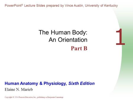 Copyright © 2004 Pearson Education, Inc., publishing as Benjamin Cummings Human Anatomy & Physiology, Sixth Edition Elaine N. Marieb PowerPoint ® Lecture.