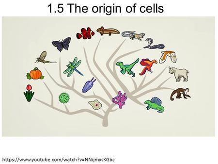 1.5 The origin of cells https://www.youtube.com/watch?v=NNijmxsKGbc.