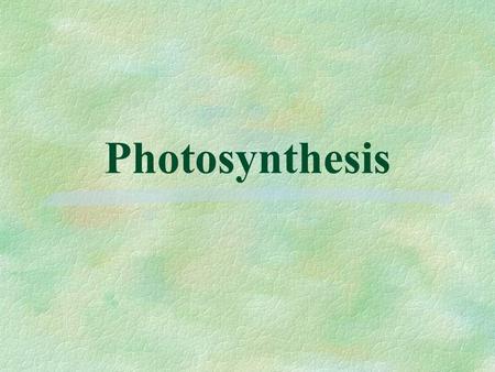 Photosynthesis. A. Introduction 1. Location: chloroplasts (in plants and algae) or folds in cell membrane (in photosynthetic prokaryotes, cyanobacteria)