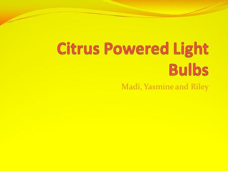 Madi, Yasmine and Riley. Our Project Our project was to try to make different wattage light bulbs in a lamp to run off of a citrus fruit.