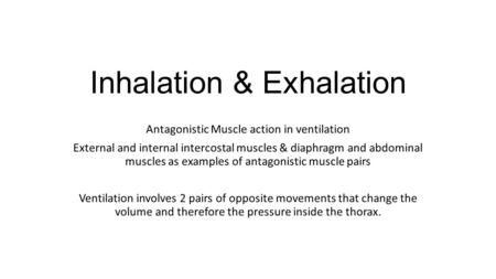 Inhalation & Exhalation