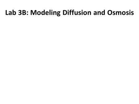 Lab 3B: Modeling Diffusion and Osmosis