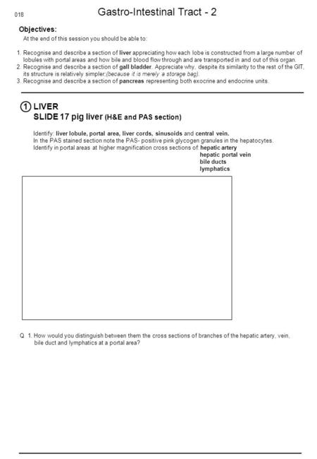 Gastro-Intestinal Tract - 2 Objectives: At the end of this session you should be able to: 1. Recognise and describe a section of liver appreciating how.