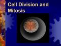 1 Cell Division and Mitosis. 2 Cell Division  GROWTH of AN ORGANISM  BUILD and REPAIR OLDER CELLS  For the total number of cells to increase cells.