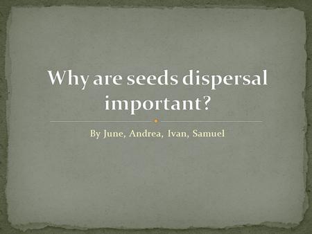 By June, Andrea, Ivan, Samuel. Animal: can be transported on the outside of the animal or via ingestion by animal. Gravity: causes heavier fruits to fall.