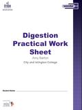 Digestion Practical Work Sheet Amy Barton City and Islington College Student Name: …………………………………………………………………………