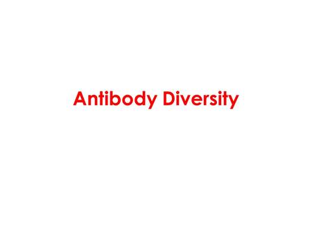 Antibody Diversity. Immunoglobulin: antibody Antibody response: B cells, with the help of T cells, produce antibody to antigen, preserve the ability to.