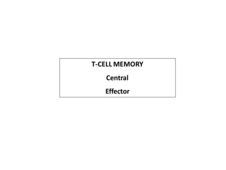 T-CELL MEMORY Central Effector.