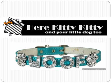 Find Best Designer Cat Collars
