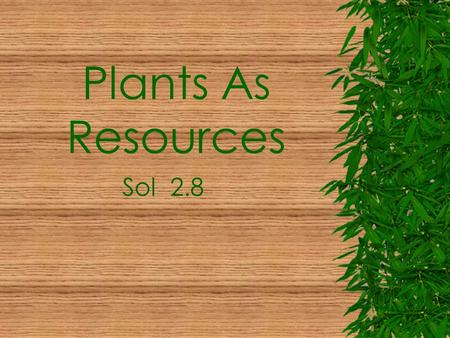 Plants As Resources Sol 2.8 Plants Are Useful Plants Give Us Medicines  Over ½ of medicines are used from plant parts.  Medicines are used to help.