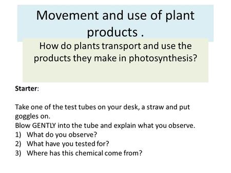 Movement and use of plant products. How do plants transport and use the products they make in photosynthesis? Starter: Take one of the test tubes on your.