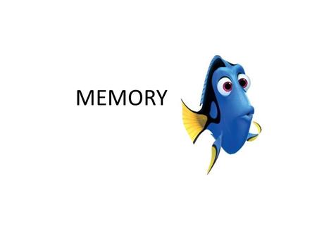 MEMORY Recap What are the three different memory stores? What do we mean by capacity, encoding and duration?