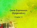 Gene Expression (Epigenetics) Chapter 11. What you need to know The functions of the three parts of an operon. The role of repressor genes in operons.