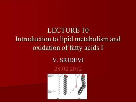 LECTURE 10 Introduction to lipid metabolism and oxidation of fatty acids I V. SRIDEVI 28.02.2012.