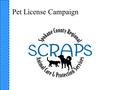 Pet License Campaign. Campaign Strategy Message: Licensing will help return your lost pet to you. Licensing pays for adoption and protection services.