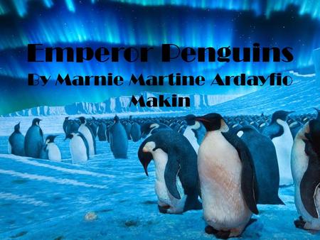 Emperor Penguins By Marnie Martine Ardayfio Makin.