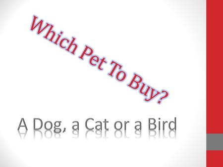 Advantages Dogs are very loyal pets. Dogs are much easier to train than birds or cats. Disadvantages Dogs are more expensive to feed than birds and cats.