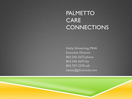 Palmetto care connections