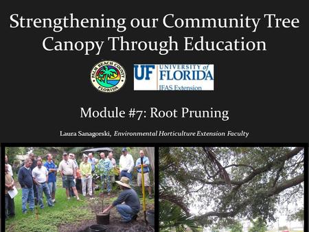 Strengthening our Community Tree Canopy Through Education Module #7: Root Pruning Laura Sanagorski, Environmental Horticulture Extension Faculty.