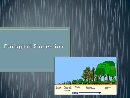 Ecological Succession