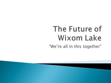 The Future of Wixom Lake