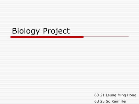 Biology Project 6B 21 Leung Ming Hong 6B 25 So Kam Hei.