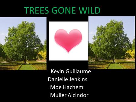 Kevin Guillaume TREES GONE WILD Moe Hachem Muller Alcindor Danielle Jenkins.