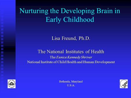 Nurturing the Developing Brain in Early Childhood