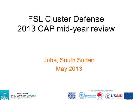 FSL Cluster Defense 2013 CAP mid-year review