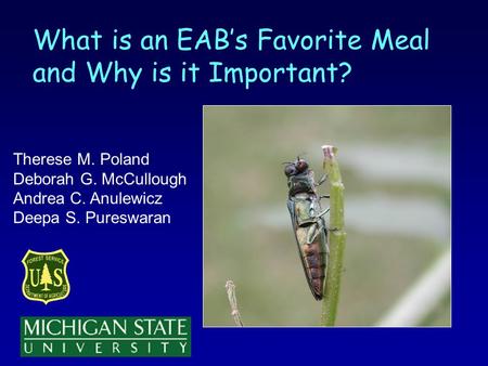 What is an EABs Favorite Meal and Why is it Important? Therese M. Poland Deborah G. McCullough Andrea C. Anulewicz Deepa S. Pureswaran.