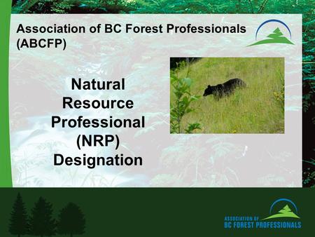 Association of BC Forest Professionals (ABCFP) Natural Resource Professional (NRP) Designation.