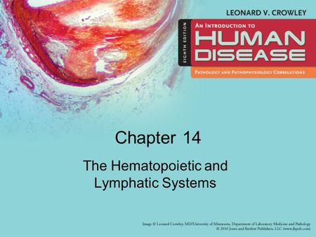 The Hematopoietic and Lymphatic Systems