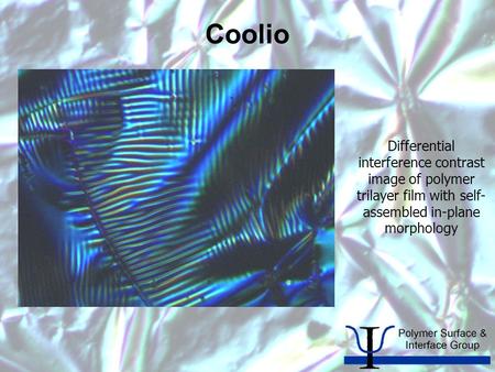 Coolio Differential interference contrast image of polymer trilayer film with self- assembled in-plane morphology.