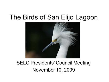 The Birds of San Elijo Lagoon SELC Presidents Council Meeting November 10, 2009.