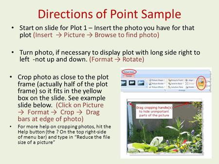 Directions of Point Sample Start on slide for Plot 1 – Insert the photo you have for that plot (Insert Picture Browse to find photo) Turn photo, if necessary.