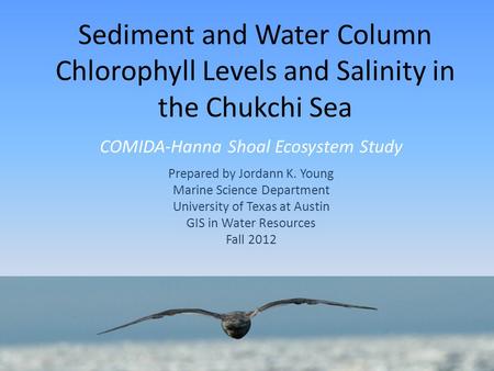 Sediment and Water Column Chlorophyll Levels and Salinity in the Chukchi Sea COMIDA-Hanna Shoal Ecosystem Study Prepared by Jordann K. Young Marine Science.