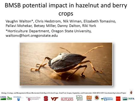 Biology, Ecology, and Management of Brown Marmorated Stink Bug in Orchard Crops, Small Fruit, Grapes, Vegetables, and Ornamentals USDA-NIFA SCRI Coordinated.