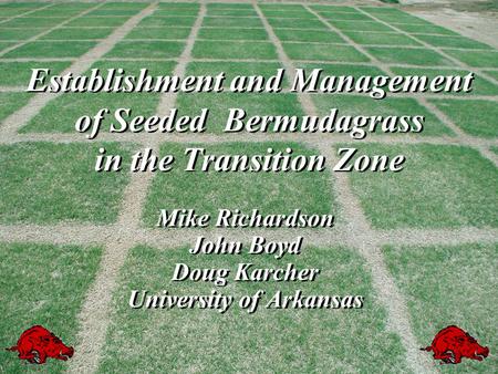 Establishment and Management of Seeded Bermudagrass in the Transition Zone Mike Richardson John Boyd Doug Karcher University of Arkansas Mike Richardson.