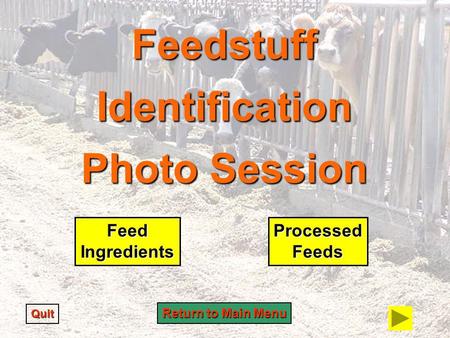 Feedstuff Identification Photo Session