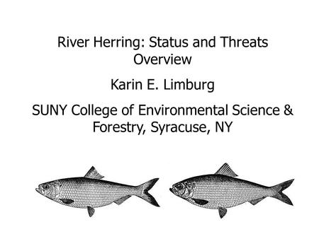 River Herring: Status and Threats Overview Karin E. Limburg SUNY College of Environmental Science & Forestry, Syracuse, NY.