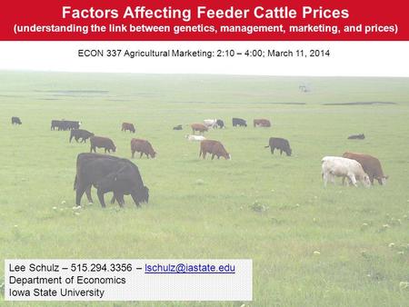 Factors Affecting Feeder Cattle Prices