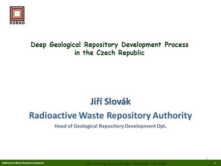 Deep Geological Repository Development Process in the Czech Republic