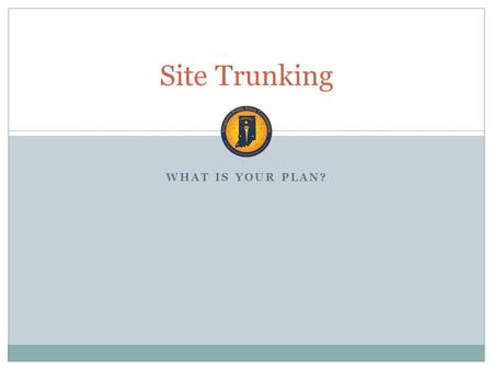 WHAT IS YOUR PLAN? Site Trunking. Affiliation Each radio can only be affiliated with one site at a time. Each radio can only be affiliated with one talkgroup.