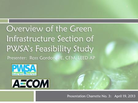 Overview of the Green Infrastructure Section of PWSAs Feasibility Study Presentation Charrette No. 3: April 19, 2013 Presenter: Ross Gordon, PE, CFM, LEED.