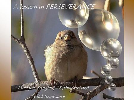 A lesson in PERSEVERANCE